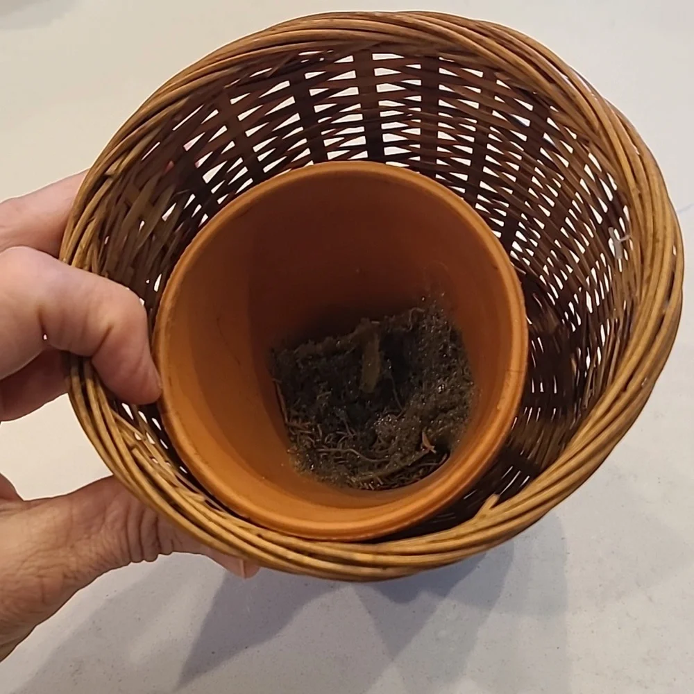 Floral Basket/ Pot Bundle